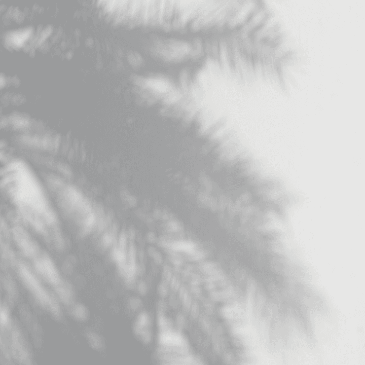 Talia Coaching Testimonials